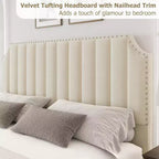 Lit plateforme Queen Velvet – Tête et pied de lit touffetés de 50,2 po, garniture cloutée, sans sommier