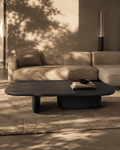 Table basse en placage de chêne fumé au design sculptural incurvé